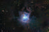 auto_test_4.0_duobianti_percent